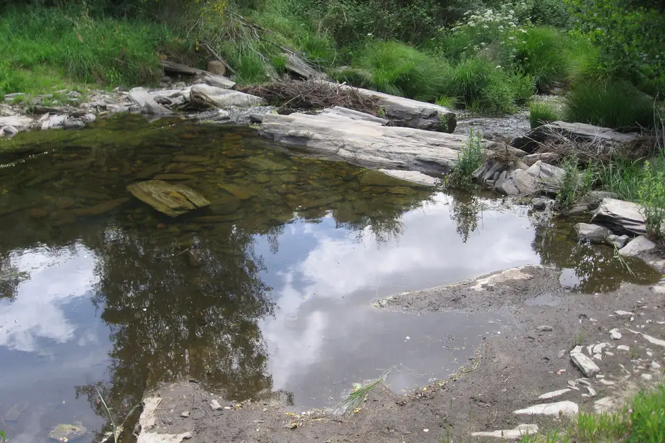 Sendero de la Ribera del Duero